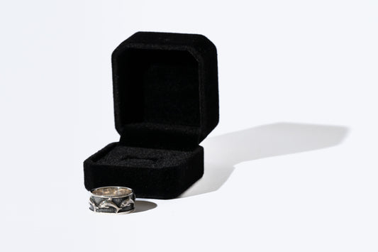 Sterling Silver Dolphin Train Ring